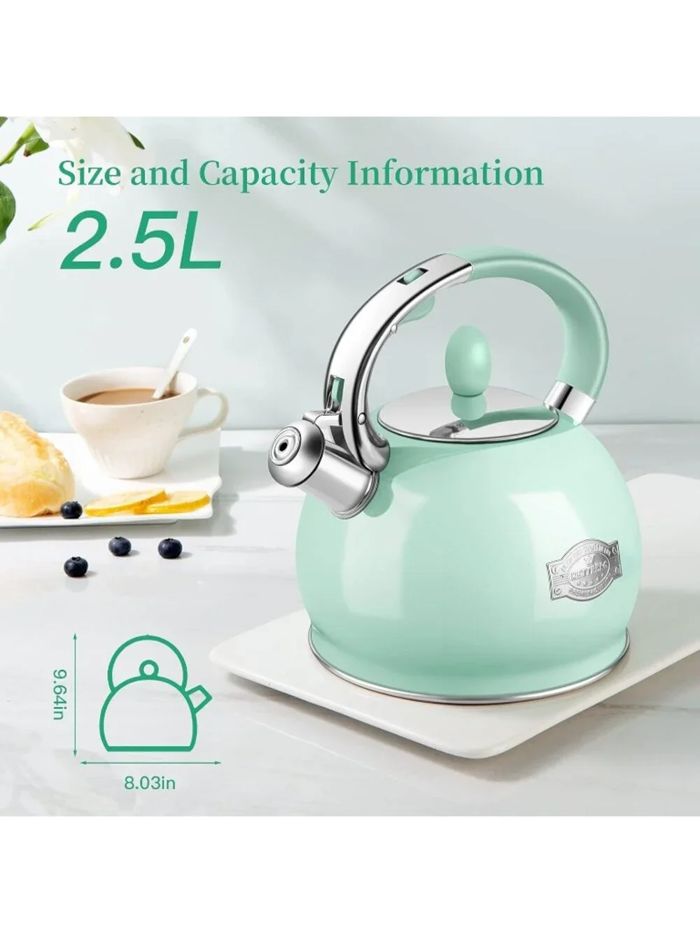 Mint Green Whistling 2.64QT Stainless Steel with Cool Touch Handle Teakettle